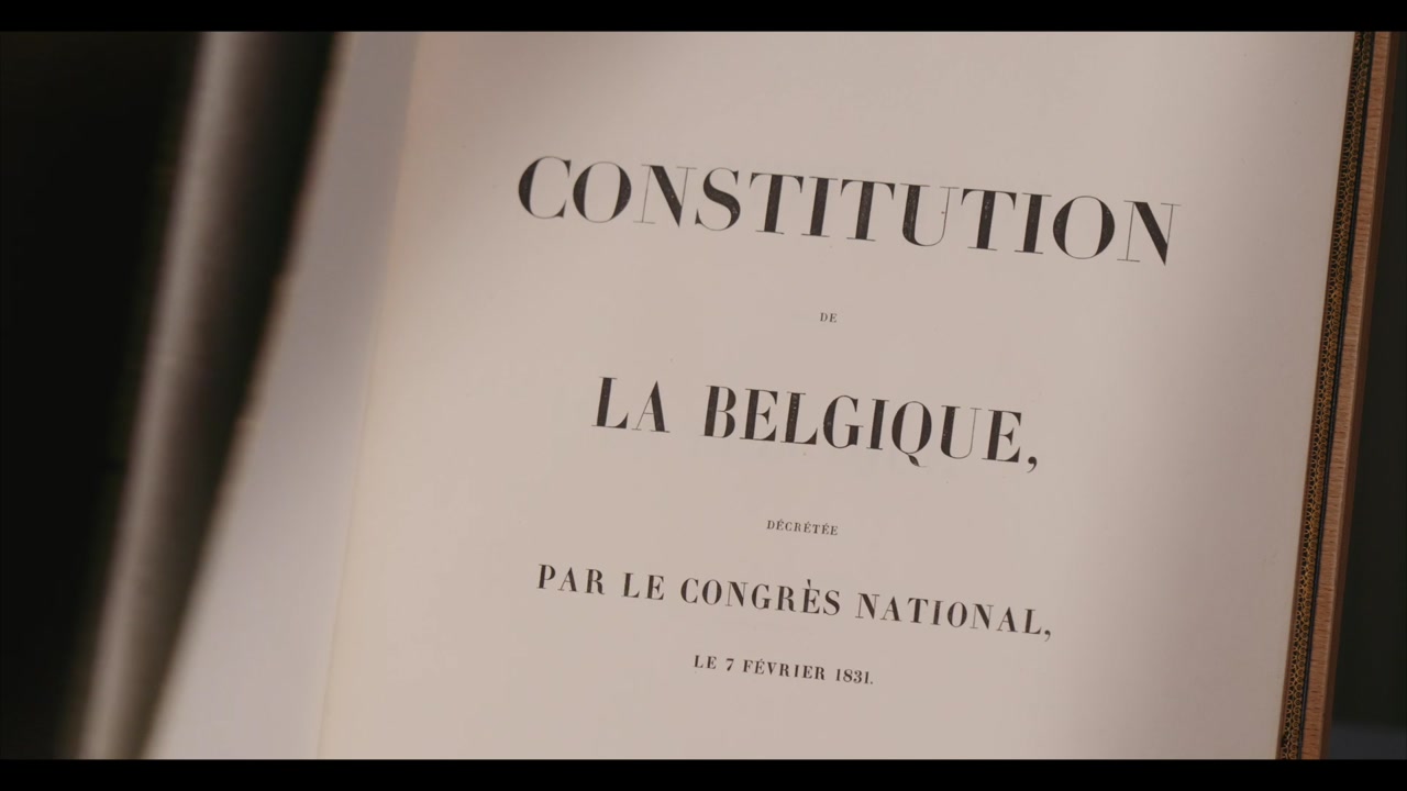 Bringing a case before the Constitutional Court